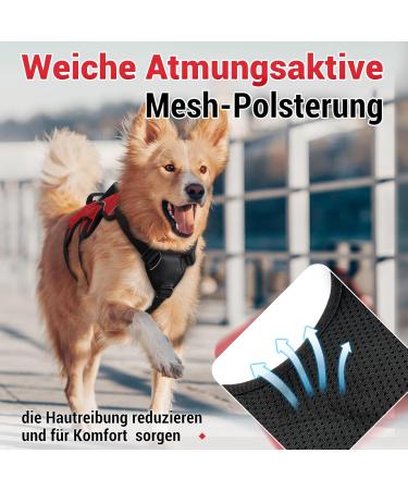 Rabbitgoo Medium Dog Harness - Breaking-Proof Adjustable Padded Vest with Handle | Breathable & Safe for Medium-Sized Dogs - Red (1 Pack) - Buy Online on GoSupps.com