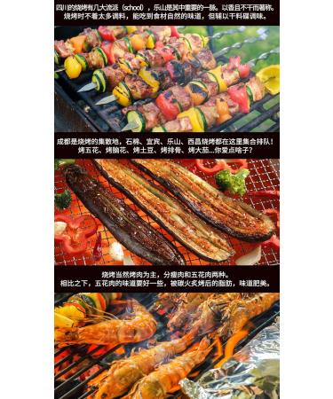 Chinese BBQ powder Barbecue Grill Seasoning 450g Original imported of sichuan china - Buy Online on GoSupps.com