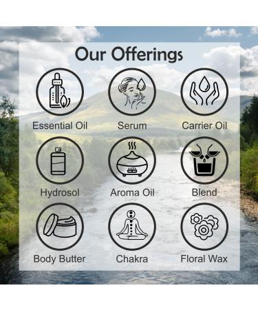 Buy DEVE Herbes Rosemary Oil | Ready-to-Use Roll-On for Aromatherapy & Skin | 10ml International Shipping Available - Buy Online on GoSupps.com