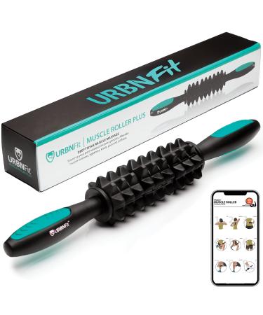 https://m.media-amazon.com/images/I/81XifE-hdXL.jpg