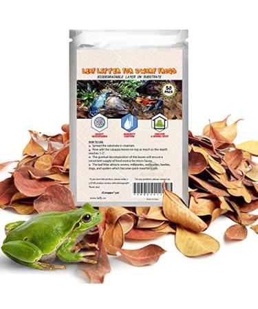SunGrow 50 pcs Dwarf Frog Leaves Tropical Fish Water Treatment Terminalia Leaf 2 Inches Mini Indian Almond Catappa Leaves for Microfauna Aids in Reproduction Regulate pH of Substrate