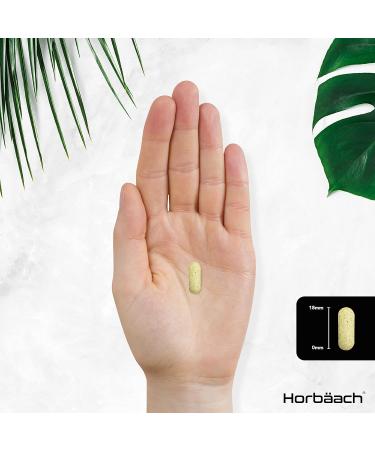 Multivitamin Tablets for Men and Women | 365 Count | with 24 Essential Nutrients Including Vitamin D B12 Zinc and Iron | 100% Vegan Supplement | by Horbaach - Buy Online on GoSupps.com