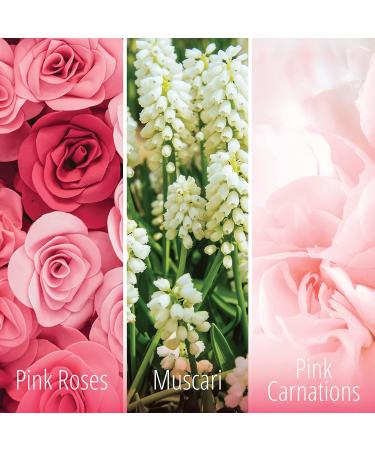 KIFRA PINK Concentrated Laundry Fragrance 200ml - Long Lasting Scent for 80 Washes - Buy Online on GoSupps.com