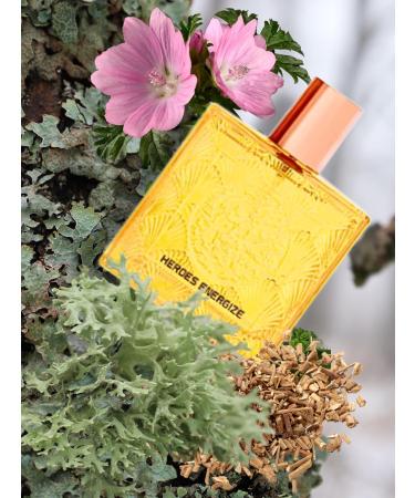 HEROES ENERGIZE EAU DE TOILETTE POUR HOMME 3.4 FL. OZ. Citrus Aromatic fragrance for men. - Buy Online on GoSupps.com