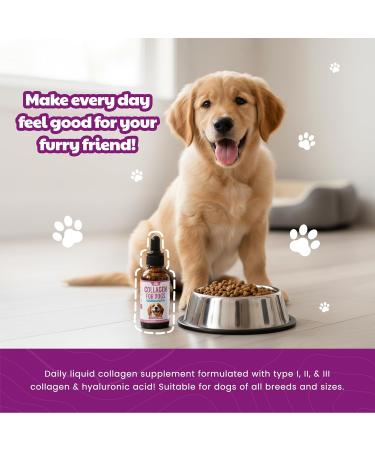 Premium Liquid Collagen for Dogs (120ml) Daily Collagen Dogs Supplement Drops with Types I II & III & Hyaluronic Acid - Dog Supplement for Joints and Digestive Health - All Breeds & Sizes - USA Made - Buy Online on GoSupps.com