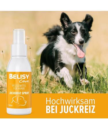 Belisy Itching Spray for Dogs 100ml - Soothing Dry Skin & Mites Relief - Skin & Fur Care with Panthenol Lavender Marigold & Tea Tree - Buy Online on GoSupps.com