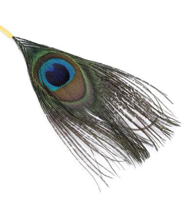 Premium 23-Piece Stainless Steel Ear Wax Removal Tool Set - Double Ended Scoop Spoon & Home Care Supplies - Buy Online on GoSupps.com