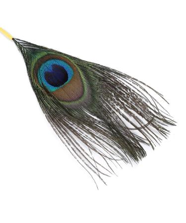 23-Piece Cherry Powder Ear Pick Set | Double Ended Spiral Ear Scoop Spoon Kit - Buy Online on GoSupps.com