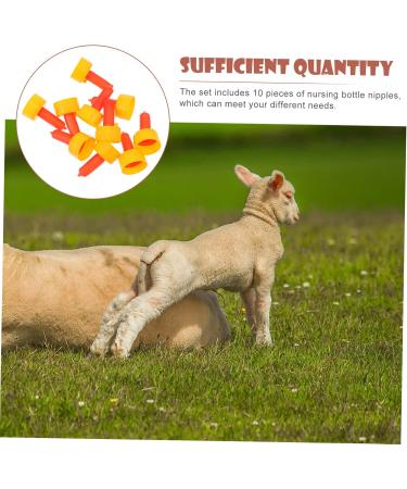 POPETPOP 20 Pcs Goat Pacifier Cow Pacifier Sheep Milk Bottles Pacifier Lamb Feeding Bottle 3X3X6CMx2pcs Redx2pcs - Buy Online on GoSupps.com