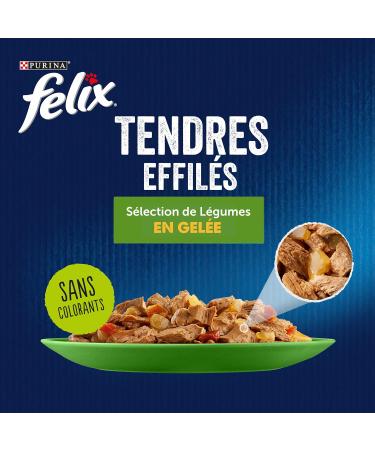 FELIX Tender Jelly Adult Cat Food - Beef Salmon Chicken & Trout with Vegetables | 24 x 85g Freshness Pouch | International Shipping - Buy Online on GoSupps.com