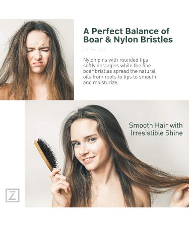 Natural Boar Bristle Hair Brush for Women, Men, Kids - Gently Enhances Shine, Smooths Frizz, Prevents Breakage - Ideal for Fine, Straight, Thick, Curly Hair - Oval Design - 1 Count - Buy Online on GoSupps.com