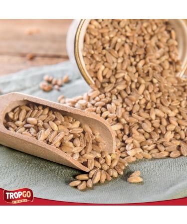 Tropgo Roasted Salted Sunflower Seed Kernels 125gr - Gluten Free Tub of Sun Flower Seeds - Non-GMO Seeds for Eating - Ready-to-Eat Snacks for Kids and Adults - Buy Online on GoSupps.com