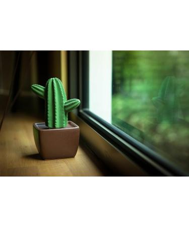 Maxi Cactus Non-Electric Ceramic Diffuser | Essential Oils & Aromatherapy | White Brown Vase for Home Office & Car Decor - Buy Online on GoSupps.com