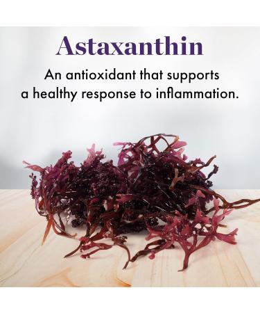 NAOMI Extra Strength Astaxanthin + CoQ10 - High Absorption Antioxidants for Energy Cardiovascular & Immune Support | 30-Day Supply - Buy Online on GoSupps.com