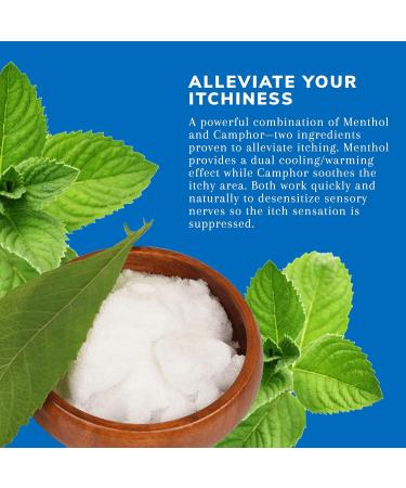 Earth's Care Anti Itch Cream - Steroid Free Soothes Sunburns & Itchy Skin 2.4 OZ (2 Tubes) - International Shipping Available - Buy Online on GoSupps.com