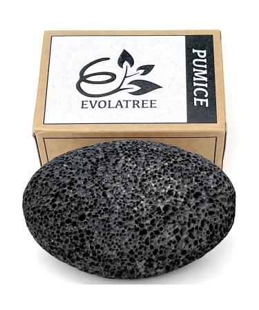 Evolatree Pumice Stone for Feet - Lava Foot Scrub, Cleaning & Exfoliating Hard Dead Skin, Corn & Callus Remover for Hands, Heels - Shower & Bath Wet Foot Scrubber, Scraper Pedicure Supplies Care Tool