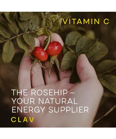 High Strength Rosehip Extract Vitamin C 500mg - 120 Capsules, Immune Support & Energy Booster, Vegan Certified - Made in Germany - Buy Online on GoSupps.com