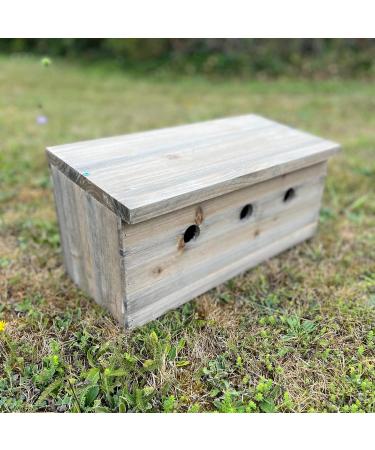 Selections Sparrow Colony Wooden Nesting Box Terrace - Buy Online on GoSupps.com