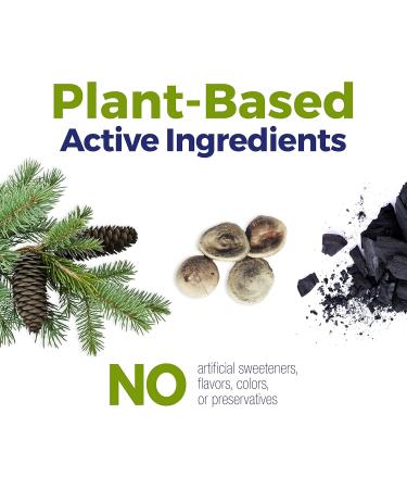 Boiron Acidil On The Go Travel Essential for Relief of Acid Reflux Heartburn Indigestion Bloating and Upset Stomach - 2 Count (160 Pellets) 80 Count (Pack of 2) - Buy Online on GoSupps.com