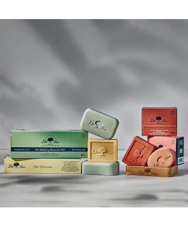 Dr. Tree | Shampooing Solid Nourrissant Anti-Frizz+ Gel Solid cologique Nutritif | 75gr + 120gr - Buy Online on GoSupps.com