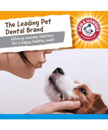 Arm & Hammer Nubbies Dental Chew Toy for Dogs - Plaque & Tartar Control Gator Toy - Buy Online on GoSupps.com