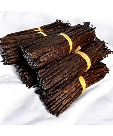 VANNERIE DU MONDE 10 Grade A Madagascar Bourbon Vanilla Beans 14-16 cm 30g