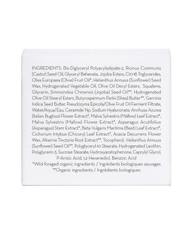 Olive Lip Butter Balm - 8ml | Hydrating & Plumping Lip Care with Organic Olive Oil & Natural Butters - Buy Online on GoSupps.com