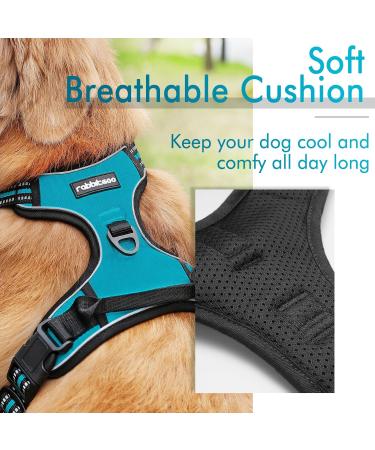 Rabbitgoo Medium Dog Harness - No Pull Adjustable Control Harness for Large Dogs Breathable & Safe Blue-Green (1 Pack) - Buy Online on GoSupps.com