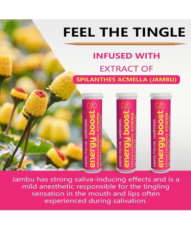Xero Picks Wellness - Infused Flavored Toothpicks for Fresh Breath & Dry Mouth Prevention - 60 Picks (Berry Blast) - Energy Boost - 3 Pack - Buy Online on GoSupps.com