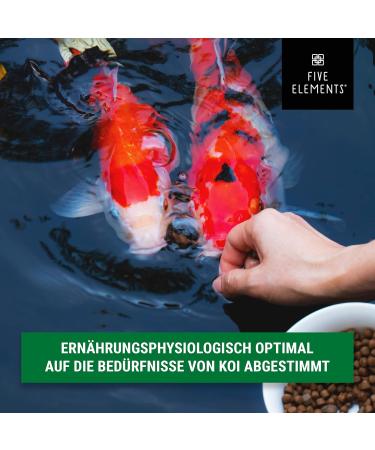 Buy Five Elements Koi Sink Plus 1.4 kg - Optimal Spring Feed for Healthy Koi | Premium Quality Ingredients - Buy Online on GoSupps.com