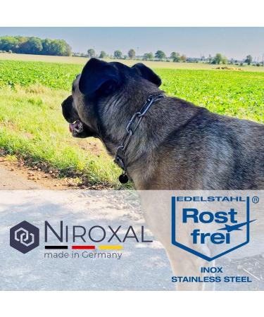 Rustproof Stainless Steel Dog Training Chain Collar - 56cm Long 5mm Thick with Train Stop - Durable & Tangle-Free - Buy Online on GoSupps.com