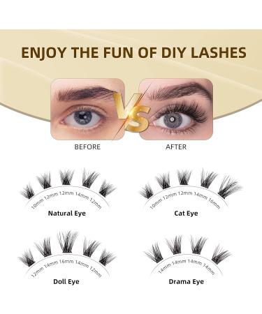 D Curl Individual Cluster Lashes 14mm - Soft & Natural DIY Eyelash Extensions - W06#(14mm) - Buy Online on GoSupps.com