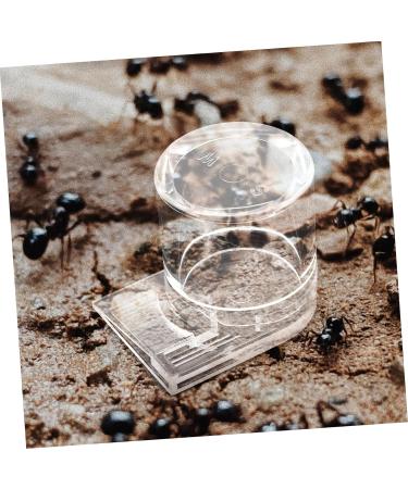 FOMIYES Pet Water Feeder Ant Nest Feeder Ant Nest Water Cup Ant Keeper Tools Climbing Pet Water Dispenser - Buy Online on GoSupps.com