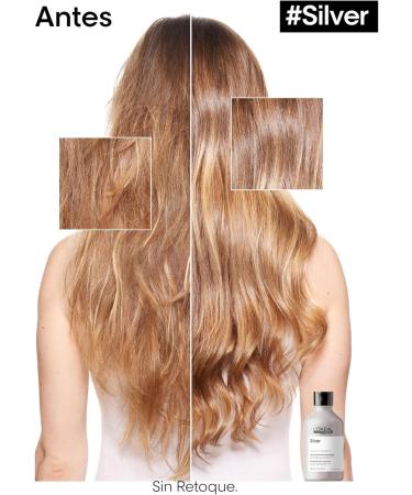 Shampoo for blond or grey hair Expert Silver L'Oreal Professionnel Paris (300 ml) - Buy Online on GoSupps.com