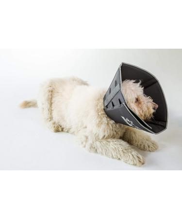 All Four Paws Comfy Cone Pet Collar - XL Black | Post-Surgery Recovery Dog Collar | Comfortable Protective Cone for Pets - Buy Online on GoSupps.com