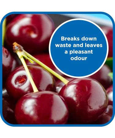 Flow 25 Litre Blue Chemical Motorhome & Caravan WC Toilet Cleaner Fluid | Biodegradable Formaldehyde Free Cleaning Formulation | Disinfectant & Cleaner | Fresh Fragrance 25 l (Pack of 1) - Buy Online on GoSupps.com