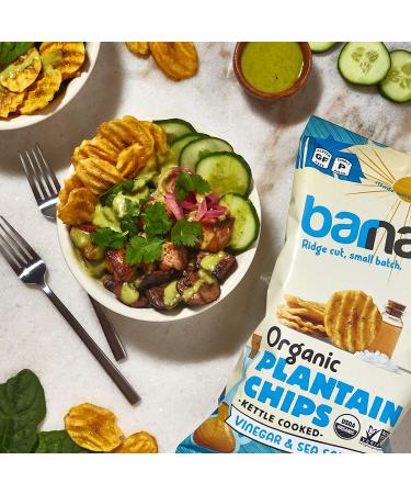 Barnana Organic Salt & Vinegar Plantain Chips - Crunchy Snack - 5 oz - Buy Online on GoSupps.com