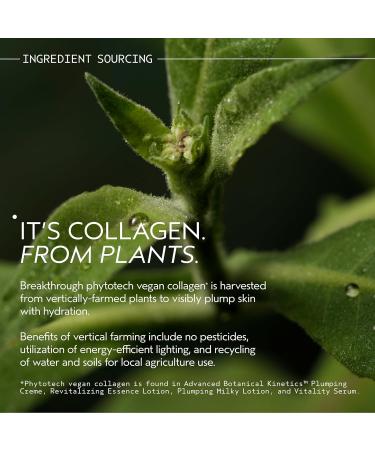 Aveda Advanced Botanical Kinetics Plumping Cream | Firming and visibly reducing wrinkles | Vegan | Full Size | Refillable | 1.7 Fl Oz - Buy Online on GoSupps.com