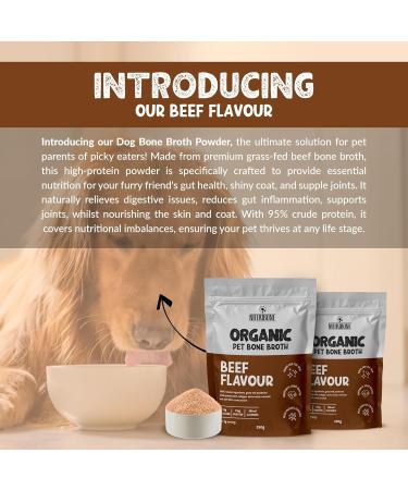 NUTRIBONE Bone Broth Powder for Pets - High Protein Supplement for Gut Joint and Coat Health - Non-GMO Organic Bone Broth for Dogs Beef Flavour-250g Pack Beef 250 g (Pack of 1) - Buy Online on GoSupps.com