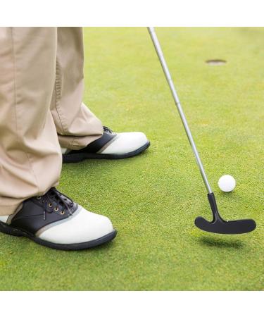 Champkey PRO Golf Putters - Premium Two Way Putter for Putting Training - Buy Online on GoSupps.com