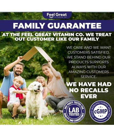 Feel Great Vitamin Co. Elderberry Gummies for Kids | Vegan Immune Support | Gluten Free with Zinc & Vitamin C | 90 Gummies - Buy Online on GoSupps.com