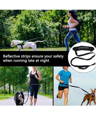 Hands Free Dog Leash with Zipper Pouch Durable Bungee with Reflective Strips Adjustable Waist Belt for Walking Jogging and Running Your Dog(black) - Buy Online on GoSupps.com