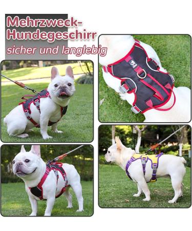 Multi-Purpose Dog Harness & Leash Set - Outbreak-Proof Anti-Train Safety Harness for Small & Medium Dogs (Black M) - Buy Online on GoSupps.com