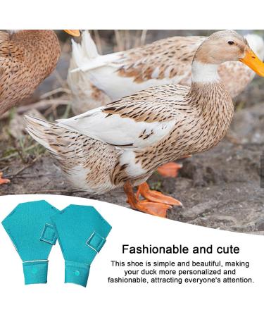 higyee Wildlife Protection Shoes - Anti-slip Protection Shoes for Wildlife | Shoes for Goose and Large Ducks Birds Hens Duck Accessories - Buy Online on GoSupps.com