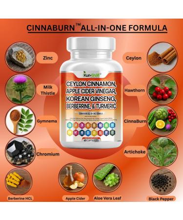 Kun Shafi Ceylon Cinnamon Complex with Berberine Apple Cider Vinegar Plus Bitter Melon Gymnema Ginseng Chromium & Turmeric Milk Thistle 60 Ct - Buy Online on GoSupps.com