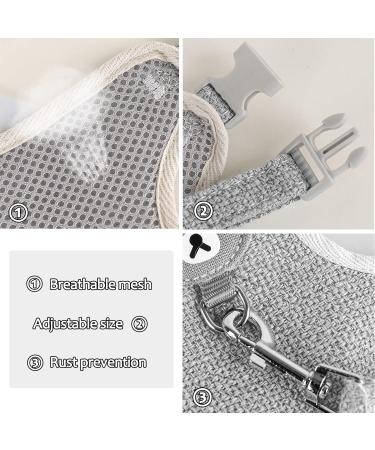 Taicols Adjustable Leash Set for Rabbits & Cats - 120cm Breathable Dishes & Soft Pet Leash for Outdoor Walking - Buy Online on GoSupps.com