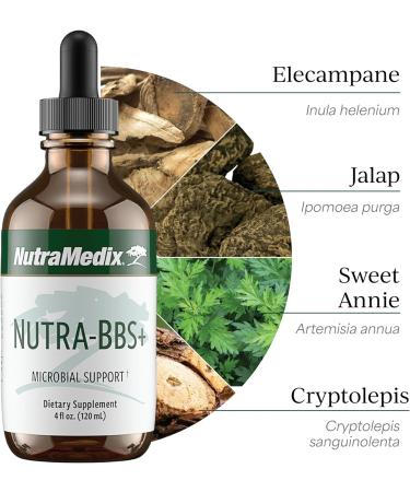 NutraMedix Nutra-BBS+ - Herbal Supplement for Microbial, Antioxidant and Immune Support - with Elecampane + Jalapa Root, Artemisia Annua and Capirona Bark (4 oz) - Buy Online on GoSupps.com
