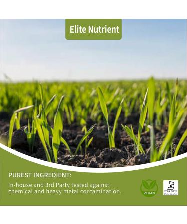 Elite Nutrient Organic Wheat Grass Powder - Green Superfood for Weight Loss & Metabolism - Non-GMO USDA Certified - 1 lb (16 oz) - Rich in Fiber, Chlorophyll, Vitamins & Minerals - Buy Online on GoSupps.com