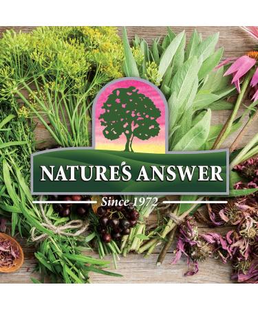 Nature's Answer Milk Thistle Capsules 60 Count - 80% Silymarin Seed Extract - Buy Online on GoSupps.com