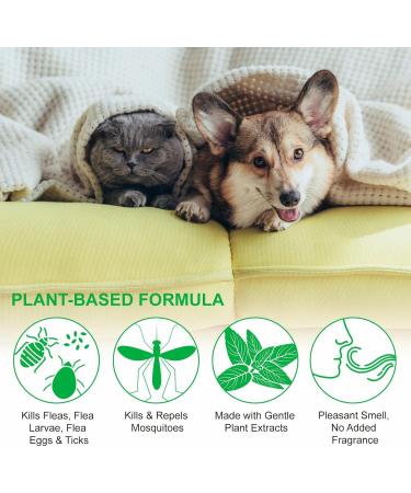 Fleas And Fleas And Prevention External Home Fleas And TickKiller Control Prevention Fleas And For Kitten 1 - Buy Online on GoSupps.com